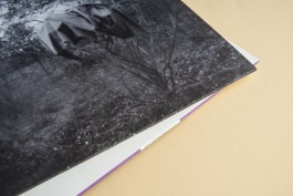 Sleeve Design for Scherbe