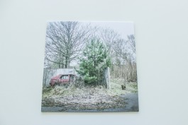 Scherbe Late Nite Safari Cover Design