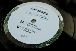 Scherbe Late Nite Safari Cover Design