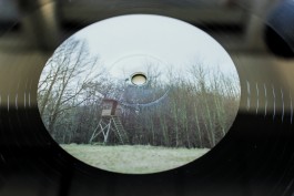 Scherbe Late Nite Safari Cover Design