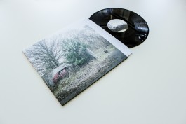 Scherbe Late Nite Safari Cover Design