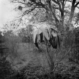 Sleeve Design for Scherbe 