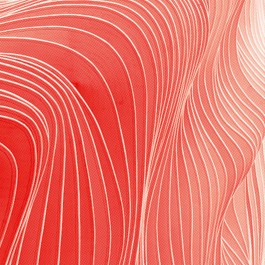 shtum 10 record sleeve design 