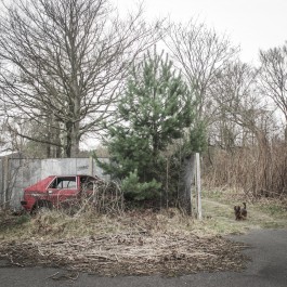 Scherbe Late Nite Safari Cover Design 